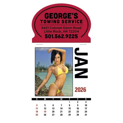 Triumph® Calendars Press-N-Stick Sunshine Girls Calendar