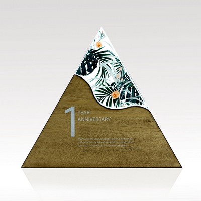 Triangle Acrylic & Wood Award - Large
