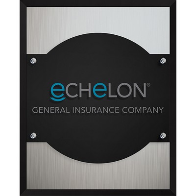 The Highlight Plaque (8"x 10"x 1") Screen-Printed