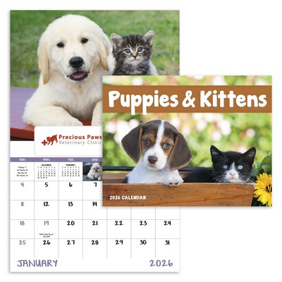 Puppies & Kittens - Window
